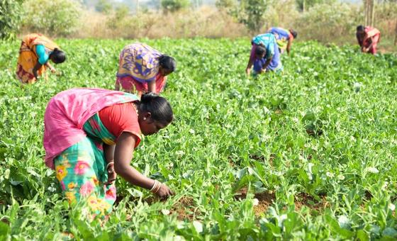 भारत: जल व ज़मीन के लिए महिलाओं के अधिकारों की लड़ाई